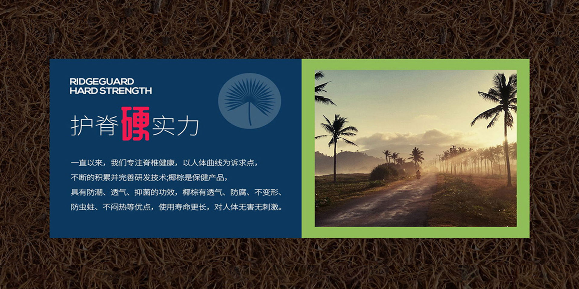 91抖音免费版入口
